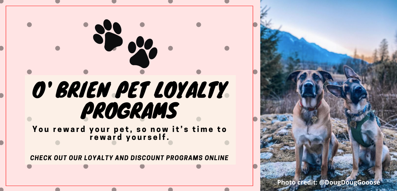 Peaks Family Pets Squamish Local Pet Food Store Pet Food Delivery