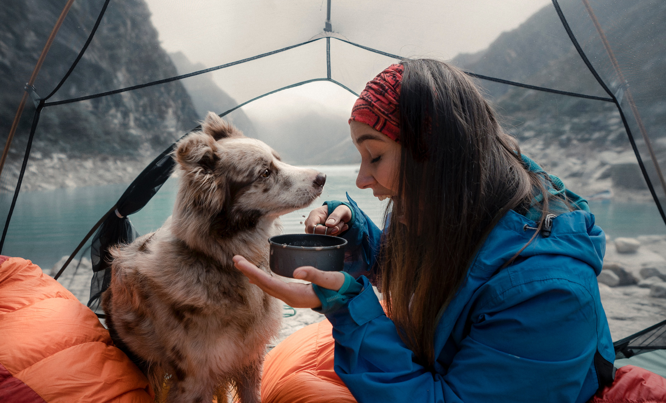 Camping With Your Dog Best Dog Food Squamish Best Cat Food Squamish