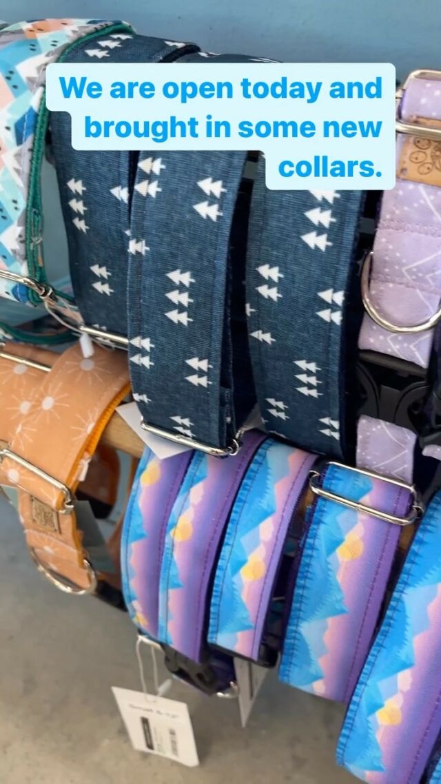 Bird Food Squamish O'Brien Pet Food Store